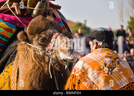 Homme turc avec camel prêts à se battre, Ayvalik, Turquie, Asie Banque D'Images