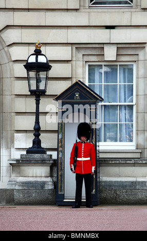 Les patrouilles de la garde à Buckingham palaca Londres Banque D'Images