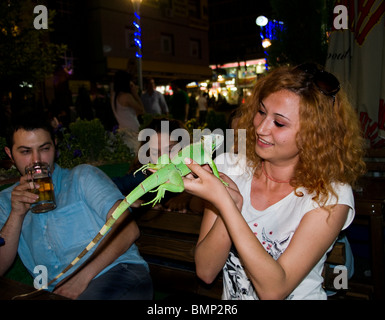 Kizilay Ankara Turquie étudiants turcs Bar Pub Café lézard reptile vert Banque D'Images