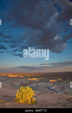 Lever du soleil à peu Painted Desert County Park, Navajo County au Nord de Winslow, Arizona, USA Banque D'Images