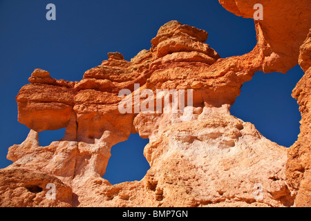 Les cheminées d'une érosion des roches en formation de Claron Bryce Canyon National Park, Utah, USA Banque D'Images