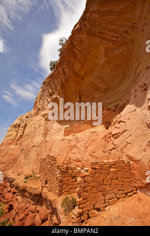 Habitation ancienne falaise Puebloan le long Sand Canyon Trail, Canyons of the Ancients National Monument, près de Cortez, Colorado, USA Banque D'Images