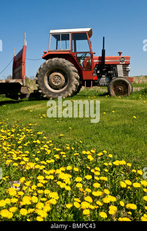 Massey Ferguson 165 vieux tracteur Mark III - sud-Touraine, France. Banque D'Images