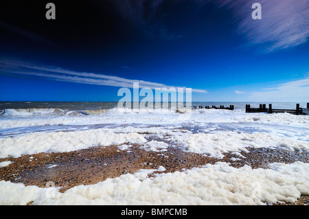 Écume de mer sur la plage de Walcot, Norfolk UK Banque D'Images