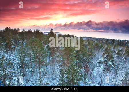 Coucher du soleil d'hiver vu de la tour à Vardåsen à Evje à Rygge kommune, Østfold fylke, la Norvège. Dans l'arrière-plan est l'horizon. Banque D'Images