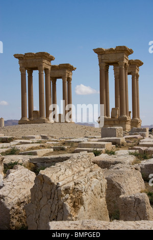 Palmyra, Syrie Ville antique araméen Banque D'Images