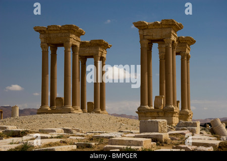 Palmyra, Syrie Ville antique araméen Banque D'Images