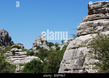 Parc national El Torcal, Torcal de Antequera, la province de Malaga, Andalousie, Espagne, Europe de l'Ouest. Banque D'Images