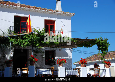 Dans le restaurant recouverte de vigne Plaza de la Constitucion, Mijas, Costa del Sol, la province de Malaga, Andalousie, Espagne, Europe de l'Ouest Banque D'Images