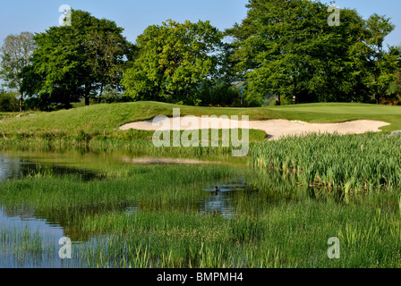 Premier vert sur un terrain de golf Banque D'Images