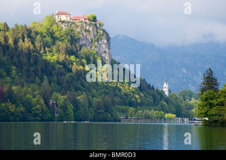 La Slovénie, Elk191-2311 Le lac de Bled, le château, 11e & 16e c Banque D'Images