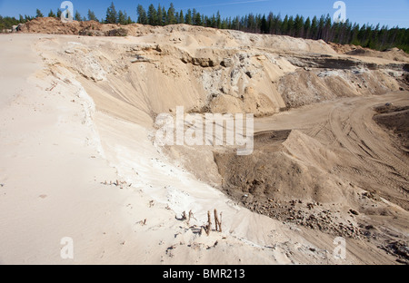 Mur d'une gravière à une crête de sable / esker glaciaire , Finlande Banque D'Images