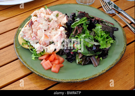 Rouleau de homard, salade de tomates en dés et Mesculin Banque D'Images