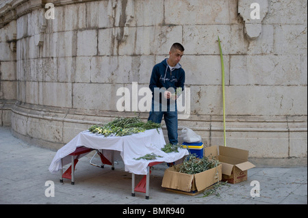 Dimanche des Rameaux, DANS LE SUD DE L'Espagne, CE QUI REND LES CROISEMENTS PALM Banque D'Images