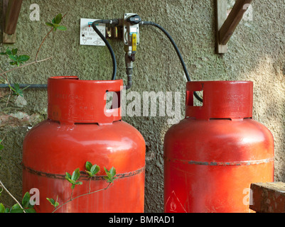 Bouteilles de gaz domestique en jardin UK Banque D'Images