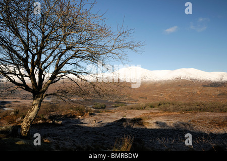 Mcgillycuddy reeks Killarney Irlande kerry montagnes couvertes de neige ciel ciel bleu d'hiver attraction pittoresque scène Banque D'Images