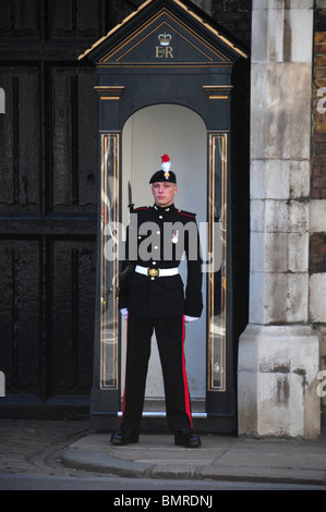 Fusilier du Royal Regiment of Fusiliers sur service de sentinelle à l'extérieur de St James, Palace, Londres Banque D'Images