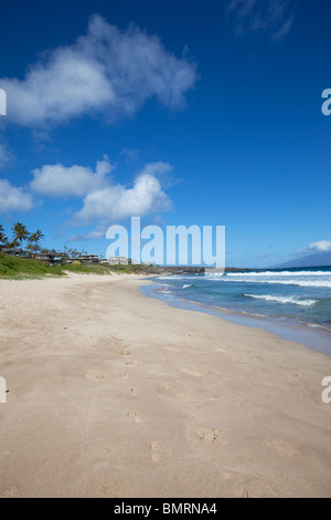 Oneloa, Kapalua Beach Coastal Trail, Kapalua, Hawaii Banque D'Images