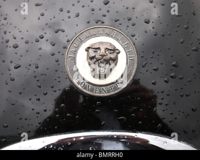 Sur l'emblème Jaguar vintage voiture de sport, England, UK. Banque D'Images