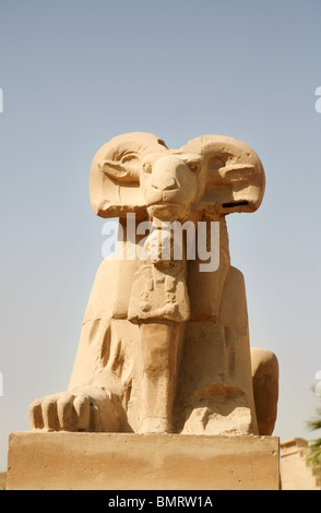 Portrait d'une des statues de la Ram dans l'Avenue des béliers ; Temple de Karnak, Louxor, Egypte Banque D'Images
