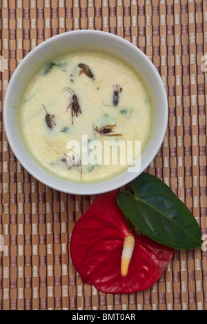 Soupe crémeuse Cricket provenant des pays asiatiques. © Myrleen Pearson Banque D'Images