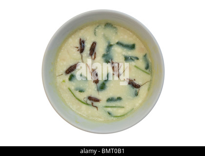 Soupe crémeuse Cricket provenant des pays asiatiques. © Myrleen Pearson Banque D'Images