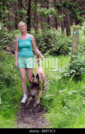 Femme avec un chien de berger belge marche sur un sentier dans les marchettes Bienvenue campagne du Berkshire Banque D'Images