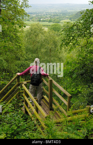 Walker en admirant la vue sur la Plaine du Cheshire du sentier de grès. Banque D'Images