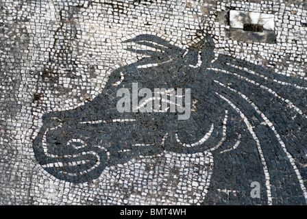Détail d'une tête de cheval à partir d'une mosaïque à Ostia Antica, le port méditerranéen de la Rome antique Banque D'Images