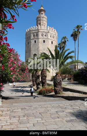 La Torre del Oro à Séville une fois qu'une partie de la communes de défense aujourd'hui un musée maritime Séville Andalousie Espagne Europe Banque D'Images