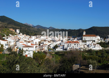 Vue sur village blanc (pueblo blanco), Sedella, Costa del Sol, la province de Malaga, Andalousie, Espagne, Europe de l'Ouest. Banque D'Images