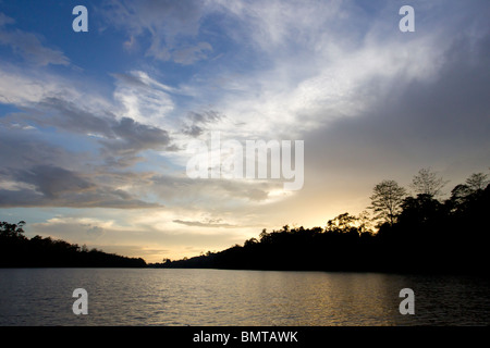 Coucher de soleil nuageux avec silhouette d'arbres et forêt sur la rivière Kinabatangan, Sabah, Bornéo, Malaisie. Banque D'Images