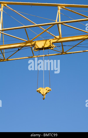 Grue jaune close up shot pour le fond Banque D'Images