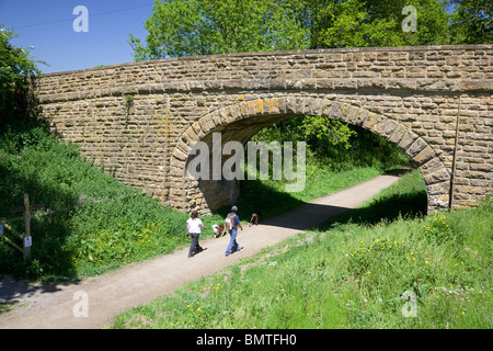 Couple walking dogs sur l'ex voie de chemin de fer converti en chemin, Donyatt, Somerset Banque D'Images