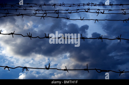Du fil de fer barbelé contre le sombre ciel bleu Banque D'Images