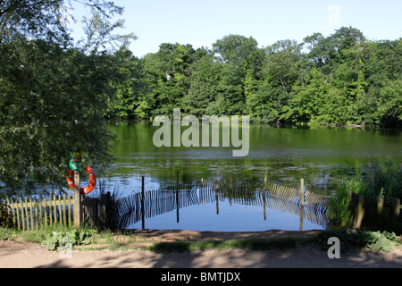 Les étangs de Highgate Londres Hampstead Heath Banque D'Images