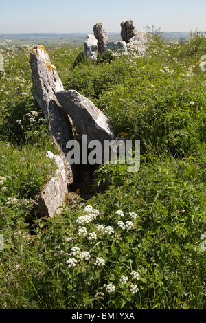 Réputé pour être le plus haut tombe mégalithique en Grande-Bretagne, cinq puits recloisonnées cairn est près des villages de Taddington et Chelmorton Banque D'Images