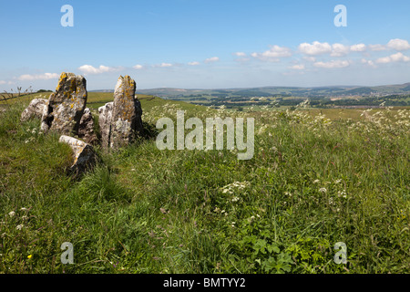 Réputé pour être le plus haut tombe mégalithique en Grande-Bretagne, cinq puits recloisonnées cairn est près des villages de Taddington et Chelmorton Banque D'Images