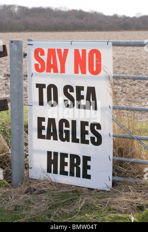 Signe de protestation sur la ferme à l'encontre d'un projet de ré-introduction d'des pygargues à queue blanche (Haliaeetus albicilia), à Norfolk, l'East Anglia. L'Angleterre. UK. Banque D'Images