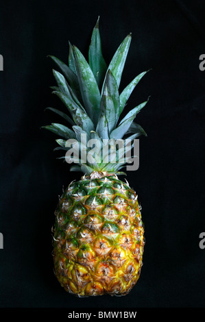 Close-up studio, l'image d'un gros ananas, sur un fond sombre Banque D'Images