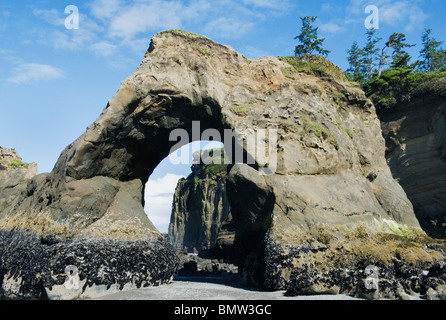 Arch et Seastacks, île Tunnel, Quinault Indian Reservation, Washington, USA de la côte du Pacifique Banque D'Images