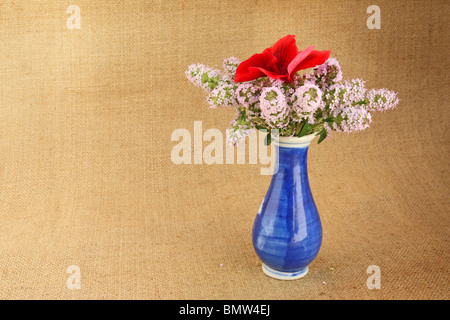 Le thym bouquet dans vase bleu sur fond de toile Banque D'Images