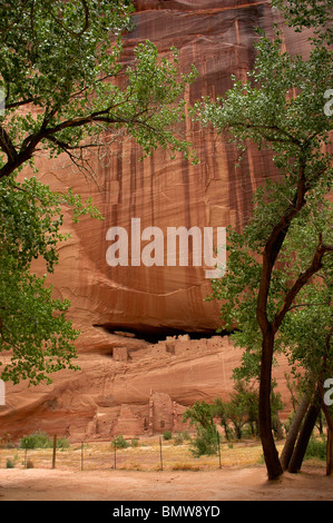 Canyon de Chelly Arizona White House Ruin Banque D'Images