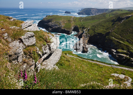 Tintagel Haven et Barras Nez de Château de Tintagel, en Cornouailles, Angleterre Banque D'Images