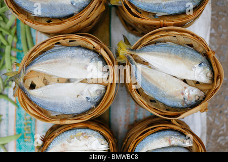 Dans des paniers de poissons en vente dans un marché au Laos Banque D'Images