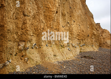 Cliffs à Weybourne, Norfolk, Angleterre, Royaume-Uni, montrant la partie supérieure de la craie, Wroxham crag, et de dépôts glaciaires. Banque D'Images