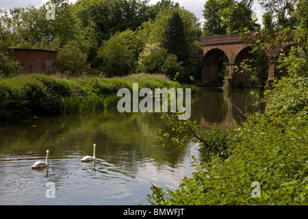 River Mole Leatherhead Surrey England Banque D'Images