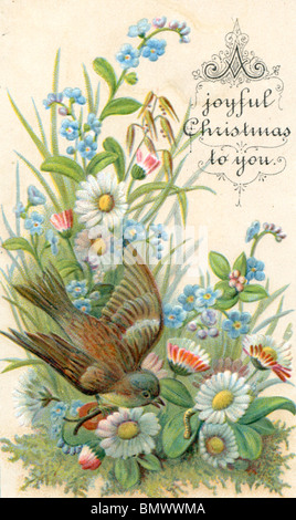 Carte de Noël - Les Marguerites et le Forget-Me-nots Banque D'Images