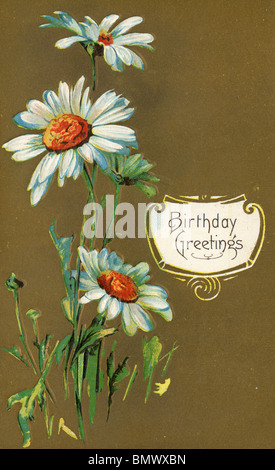 Carte d'anniversaire - Daisies Banque D'Images