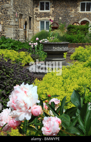 Fleurs et fontaine dans le jardin de Canterbury Museum dans la chambre de Lambin construire en 1180, Canterbury Kent UK Banque D'Images